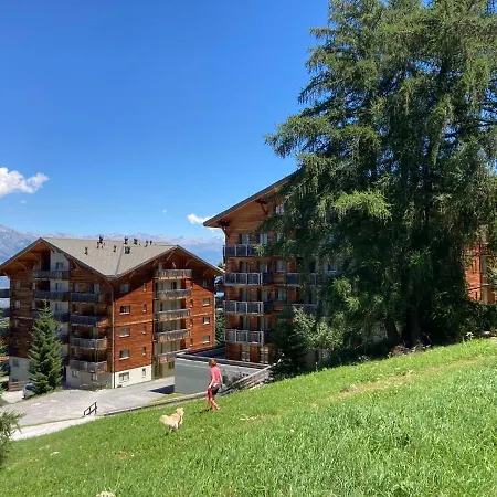 Lejlighed Residenz Pracondue I Ii Nend210 Nendaz